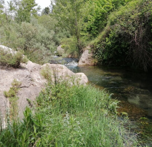 Escapada a Bejís: Cultura, bienestar, naturaleza y sabores