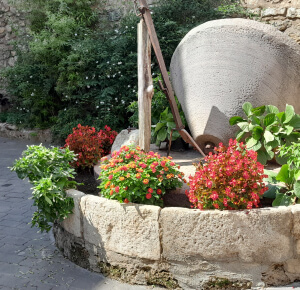 Escápate a Bejís, naturaleza y descanso