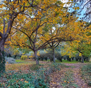 Escápate a Bejís, naturaleza y descanso